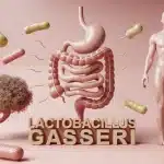 Lactobacillus gasseri et microbiote intestinal