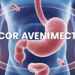 microbiote intestinal et ventre plat