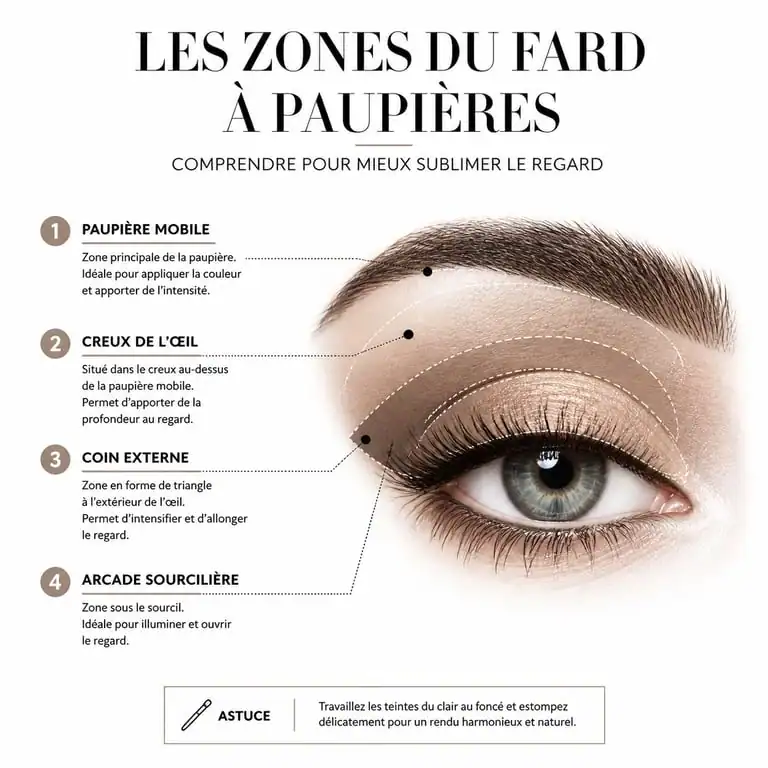 Schéma des zones d'application pour mettre du fard à paupières