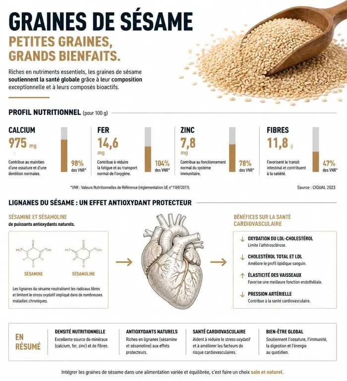 Infographie des bienfaits nutritionnels et santé des graines de sésame