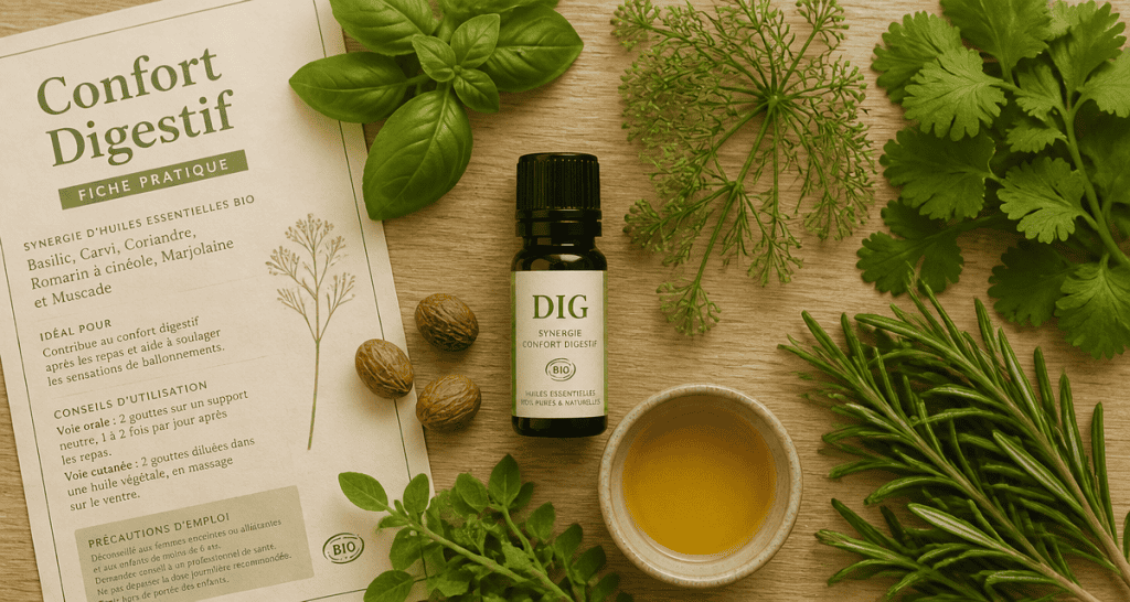 huile essentielle dig bienfaits synergie plantes