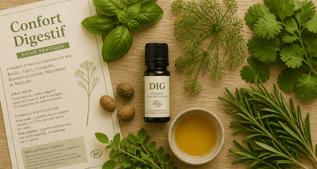 huile essentielle dig bienfaits synergie plantes