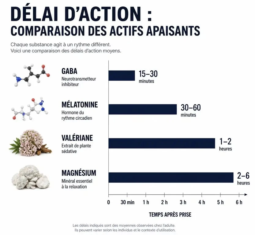 Infographie comparative des délais d'action du GABA et autres compléments pour le sommeil et le stress