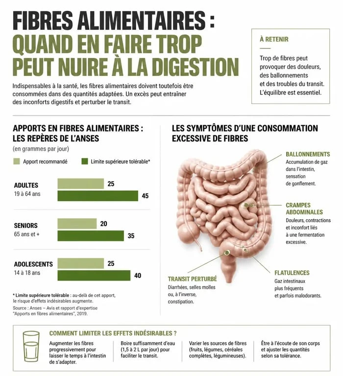 Infographie sur les symptômes et les seuils de consommation excessive de fibres alimentaires