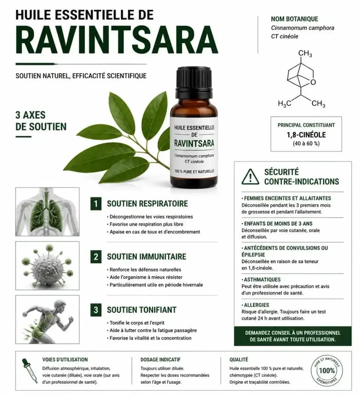 Infographie des bienfaits du ravintsara et précautions d'emploi